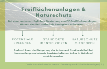 Thema Freiflächenanlagen und Naturschutz: PV-Freiflächenanlagen können die Landschaft bei einer naturverträglichen Gestaltung ökologisch aufwerten.